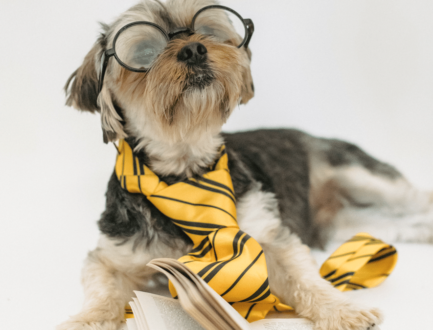 Teaching an Old Dog New Tricks: A Post-Op Implementation Analysis