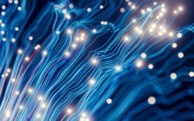 Navigating AI Security and Privacy in Higher Education